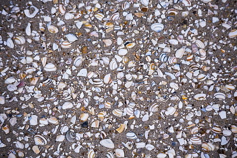 areia da praia, cartuchos, de praia, areia, origens, padronizar, seixo, texturizado, abstrato, rock - objeto, natureza, cascalho, cinzento, material, fechar-se, pedra - objeto, material de pedra, quadro completo, grande grupo de objetos, ninguém, brilhante, abundância, Rocha, pedra, Concha, sólido, terra, dia, visão de alto ângulo, diretamente acima, Concha do mar, concha animal, ao ar livre, 5K, CC0, domínio público, royalty free