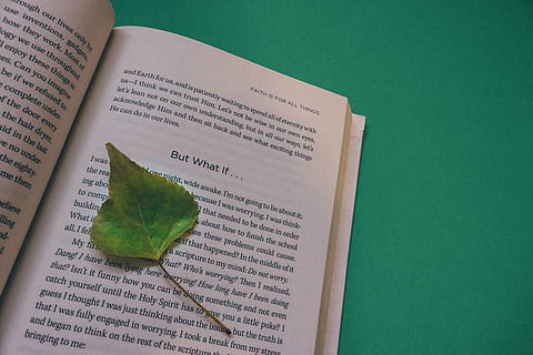 vert, feuille, livre, livre ouvert, esprit, renouveler, noir et blanc, papier, éducation, page, Littérature, en train de lire, information, bibliothèque, apprendre, étude, connaissance, journal, éducatif, cahier de texte, en train d'étudier, école, Université, la passion, femmes, écrire, journal intime, inspiration, inspiré, publication, couleur verte, texte, à l'intérieur, écriture occidentale, personne, vue grand angle, la communication, fermer, partie de la plante, apprentissage, nature morte, prise de vue en studio, sagesse, compétence, orientation, 5K, CC0, domaine public, libre de droits