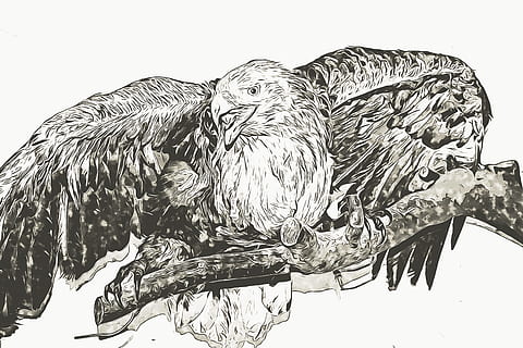 grafiek, digitaal, sas, tak, zittend, vleugel, coulissen, vogel, pen, veer, gevederde, witte achtergrond, geen mensen, natuur, detailopname, dag, heldere lucht, hemel, buitenshuis, vertegenwoordiging, dierlijke representatie, dier, kunst en ambacht, studio opname, fabriek, lage hoekweergave, dierlijke thema's, winter, koude temperatuur, boom, 4K, CC0, publiek domein, royaltyvrij