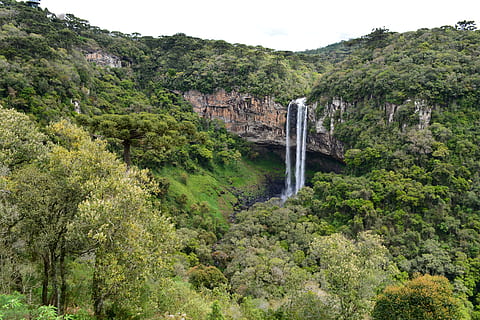 cascata, ambiente, natura, brasile, cascata di lumache, cannella, foresta, albero, nessuno, Paesaggi, pianta, crescita, colore verde, bellezza nella natura, scenics - natura, scena non urbana, acqua, giorno, la tranquillità, scena tranquilla, terra, montagna, cielo, ponte - struttura fatta dall'uomo, all'aperto, acqua corrente, fluente, 4K, CC0, dominio pubblico, privo di copyright