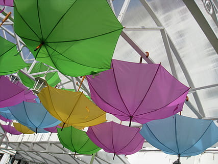 Regenschirme, Zusammensetzung, Installation, mehrfarbig, Schutz, Regenschirm, Flachwinkelansicht, Sicherheit, Tag, keine Leute, Natur, große gruppe von gegenständen, draußen, Sonnenlicht, Variation, Gruppe von Objekten, Vollbild, Wahl, pinke Farbe, Fülle, Muster, hängend, Wind, Decke, 2K, CC0, gemeinfrei, lizenzfrei