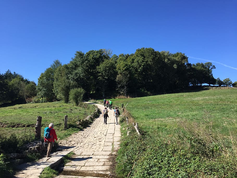 Mann, Gehen, Beton, Pfad, Blau, Himmel, tagsüber, Wandern, Pilgerfahrt, pilgern, Rucksack, Camino, Camino de Santiago, Jakobsweg, Spanien, Natur, Jakobsmuschel, Weg, Pilgerweg, sich ausruhen, Wald, Wanderung, Menschen, Radfahren, Fahrrad, draußen, ländliche Szene, Fußweg, Männer, Baum, Landwirtschaft, Gras, Landschaft, Pflanze, Gruppe von Leuten, echte Menschen, Lebensstile, Freizeitbeschäftigung, Tag, Wachstum, klarer Himmel, Frau, Erwachsene, grüne Farbe, Land, 2K