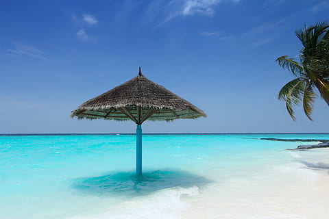 mar, naturaleza, cielo, playa, hermoso, color, idílico, isla, Maldivas, Oceano, palmera, paraíso, sombrilla, relajación, recurso, arena, playa de arena, marina, costa, verano, Dom, viaje, tropical, turquesa, vacaciones, agua, belleza en la naturaleza, techo de paja, escena tranquila, techo, tranquilidad, clima tropical, paisajes - naturaleza, azul, tierra, horizonte sobre el agua, color turquesa, nadie, al aire libre, piscina, tahiti, lujo, 5K, CC0, dominio público, libre de derechos