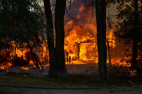 ild, hed, træer, brænde, stuvning, flamme, træ, flammende, rød, brænding, brand - naturligt fænomen, varme - temperatur, ulykker og katastrofer, natur, plante, skovbrand, Skov, ødelæggelse, røg - fysisk struktur, jord, advarselsskilt, skilt, miljø, miljøskader, miljøspørgsmål, ingen mennesker, udendørs, 5K, CC0, offentligt domæne, royaltyfrie