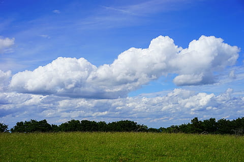 awan, formasi awan, heathland, pemandangan, alam, idyll, langit, breitenstein, swabian alb, musim panas, biru, di luar rumah, padang rumput, rumput, pemandangan pedesaan, awan - langit, latar belakang, menanam, lingkungan Hidup, keindahan di alam, ketenangan, adegan yang tenang, pohon, scenics - alam, bidang, tidak ada orang, tanah, hari, warna hijau, pertumbuhan, idilis, 5K, CC0, domain publik, bebas royalti