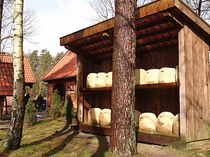 bikube, kamme, bier, bistade, arkitektur, bygget struktur, træ - materiale, ingen mennesker, bygning udvendig, dag, mad og drikke, træ, bygning, natur, mad, hus, plante, kæledyr, pattedyr, landlige scene, tag, indenlandske, udendørs, sollys, 1080P, CC0, offentligt domæne, royaltyfrie