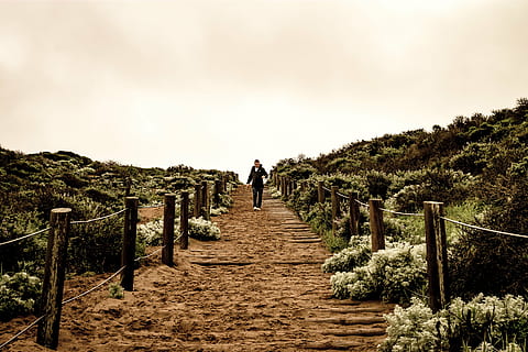 person, walking, stairs, outdoors, man, black, shirt, pathway, surround, plants, white, sky, daytime, people, trees, plant, grass, flower, nature, outdoor, mountain, highland, rear view, one person, full length, adults only, adult, the way forward, one man only, adventure, railing, tree, architecture, staircase, footpath, direction, day, leisure activity, on the move, lifestyles, steps and staircases, 4K, CC0, public domain, royalty free
