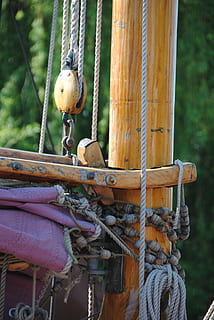 arrencada, oldtimer, estiu, rosada, mantingut, article de col·leccionista, vell, nostàlgia, assolellat, buxtehude, corda, centrar-se en primer pla, dia, cap gent, penjant, animal, temes d'animals, material de fusta, vertebrats, primer pla, fauna animal, a l'aire lliure, metall, lligat, animals a la natura, un animal, boia, naturalesa, politja, cadena, 4K, CC0, domini públic, lliure de regalies