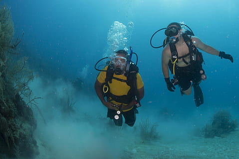 two, men scuba, diving, water, scuba, divers, underwater, ocean, reef, marine, aquatic, training, belize, sport, scuba diving, sea, aquatic sport, adventure, two people, undersea, exploration, diving equipment, togetherness, nature, adult, aqualung - diving equipment, swimming, people, women, leisure activity, couple - relationship, outdoors, underwater diving, 5K, CC0, public domain, royalty free