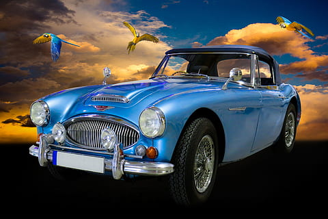 klassisk blå bil, Trafik, auto, oldtimer, austin, austin healey, cabriolet, sportsvogn, spotlight, gitter, papegøje, komponere, blå, PKW, kører en bil, transportmidler, transportform, bil, motor køretøj, sky - himmel, land køretøj, retro stylet, himmel, vintage bil, metal, natur, arkitektur, kørsel, mennesker, samlerens bil, rejse, luksus, spænding, 2K, CC0, offentligt domæne, royaltyfrie