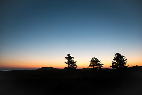 siluetti, Puut, auringonlasku, vuori, ylämaan, pilvi, taivas, kokous, harjanne, maisema, luonto, laakso, kasvi, puu, ulkona, auringonnousu - aamunkoitto, hämärä, aurinko, tyyneys, rauhallinen kohtaus, maisemat - luonto, kauneus luonnossa, ei ihmisiä, ympäristö, kopiointitila, maa, ei-kaupunkikuvia, sininen, mänty, iltahämärä, idyllinen, havupuu, 2K, CC0, public domain, rojaltivapaa