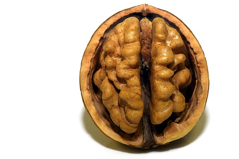 close-up photography, walnut, nut, shell, nutshell, open, brain, head, coils, curves, delicious, edible, protection, food, refreshment, seeds, healthy, background, content, brown, food and drink, white background, studio shot, cut out, healthy eating, fruit, indoors, freshness, wellbeing, close-up, nut - food, still life, no people, snack, single object, dried fruit, 5K, CC0, public domain, royalty free