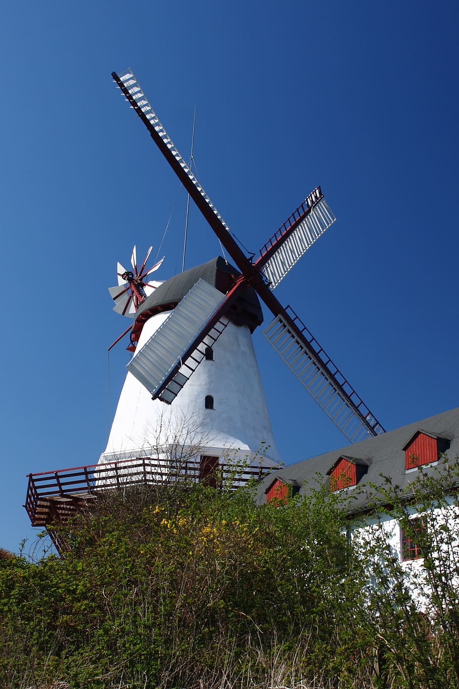 Danimarca, Dybbøl, mulino, primavera, cielo, energia eolica, turbina eolica, energia alternativa, energia rinnovabile, mulino a vento tradizionale, natura, turbina, conservazione dell'ambiente, ambiente, cielo sereno, pianta, giorno, nessuno, architettura, combustibile e produzione di energia, blu, Inquadratura dal basso, campo, struttura costruita, 2K