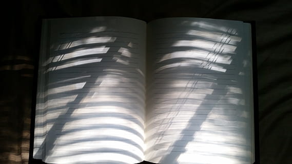 taccuino, foderato, Linee, luce del sole, carta, sfondo, sole, luce, ombra, vuoto, libro, Nota, Aperto, scrittura, raggi, buio, mattina, Scrivi, scrittore, pubblicazione, avvicinamento, in casa, formazione scolastica, nessuno, Colore bianco, pagina, saggezza, lettura, attività, apprendimento, girato in studio, due oggetti, letteratura, sfondo nero, 5K, CC0, dominio pubblico, privo di copyright