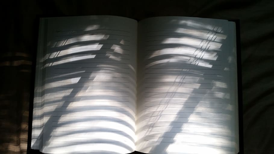 taccuino, foderato, Linee, luce del sole, carta, sfondo, sole, luce, ombra, vuoto, libro, Nota, Aperto, scrittura, raggi, buio, mattina, Scrivi, scrittore, pubblicazione, avvicinamento, in casa, formazione scolastica, nessuno, Colore bianco, pagina, saggezza, lettura, attività, apprendimento, girato in studio, due oggetti, letteratura, sfondo nero, 5K