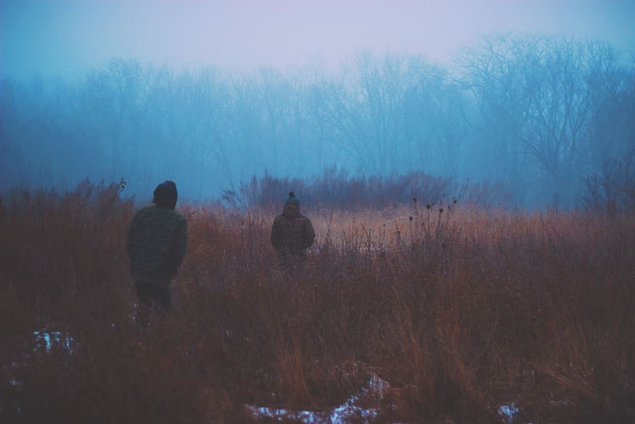 zwei, Menschen, Gehen, braun, Grasfeldmalerei, Männer, Wiese, Feld, Dämmerung, Sumpf, kalt, Wanderung, Wald, nebelig, Buchse, Nebel, Baum, Person, Blau, Holz, Mann, Pflanze, Natur, Land, Rückansicht, Ruhe, Szenen - Natur, kalte Temperatur, ruhige Szene, Winter, Silhouette, Schönheit in der Natur, Landschaft, Umgebung, Stehen, Tag, draußen, 2K