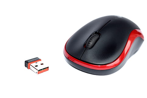 sort, rød, trådløs, tommelfingerdrev, mus, logitech, M185, pc, computer, kontor, forretning, computermus, teknologi, udstyr, computer del, internet, enkelt objekt, isolerede, sort farve, skåret ud, hvid baggrund, ingen mennesker, studio skud, stilleben, forbindelse, kopiere plads, indendørs, meddelelse, computerudstyr, trådløs teknologi, tæt på, kunstkultur og underholdning, høj vinkel visning, to objekter, elektrisk udstyr, 4K, CC0, offentligt domæne, royaltyfrie