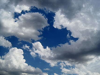 wolken, wit, pluizig, blauw, hemel, bewolkt, dag, weer, atmosfeer, lucht, zonlicht, helder, cloudscape, toneel-, landschap, hoger, wolk - lucht, milieu, wind, dramatische hemel, schoonheid in de natuur, bewolking, natuur, achtergronden, scenics - natuur, geen mensen, witte kleur, meteorologie, humeurige lucht, buitenshuis, vrijheid, klimaat, 2K, CC0, publiek domein, royaltyvrij