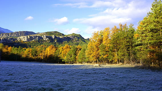 prado, bomen, Bos, landschap, prairie, gras, bladeren, veld-, schoonheid, natuur, weilanden, zon, groen, berg-, blauw, hemel, herfst, boom, Vakantiebestemmingen, buitenshuis, water, schoonheid in de natuur, meer, bos-, geen mensen, groene kleur, kleurenbeeld, rivier-, rustige scène, landelijke scène, niet-stedelijke scène, landschappen, kalmte, fabriek, scenics - natuur, wolk - lucht, groei, waterkant, dag, verandering, land-, stromend water, 5K, CC0, publiek domein, royaltyvrij