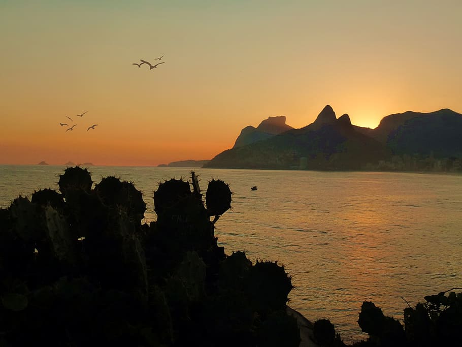 mar, oceà, platja, orla, litoral, riu de Janeiro, Brasil, aigua, ocell, garza, aus tropicals, roques, rock, illa, oest, posta de sol, contra la llum, urbà, ciutat, ocells, paisatge, muntanyes, naturalesa, serra, profunditat, contemplació, descans, visual, vacances, passeig, cel, silueta, volant, escenics - natura, muntanya, color taronja, bellesa a la natura, escena tranquil·la, tranquil·litat, cap gent, vertebrats, a l'aire, vehicle aeri, a l'aire lliure, 1080P