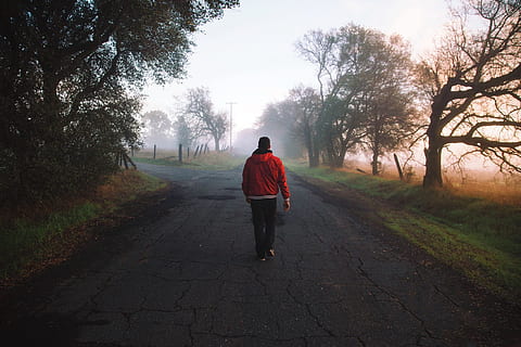 homem, anda em, caminho, arvores, dia, cara, Jaqueta, vermelho, capuz, grama, rural, país, estrada, pavimento, caminhando, pedestre, árvore, visão traseira, plantar, uma pessoa, comprimento total, o caminho a seguir, direção, trilha, natureza, pessoas reais, estilos de vida, névoa, céu, atividade de lazer, beleza na natureza, transporte, Perspectiva Diminutiva, ao ar livre, roupas quentes, 1080P, CC0, domínio público, royalty free