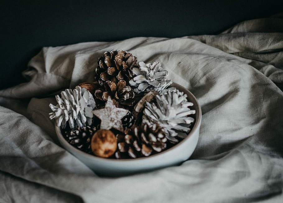 skål af pinecone, Brun, hvid, indretning, keramisk, skål, dekoration, fyrretræ, kegle, grankogle, mad og drikke, mad, indendørs, tekstil, ingen mennesker, tæt på, studio skud, høj vinkel visning, stilleben, sort baggrund, friskhed, seng, linned, møbel, velvære, sund kost, lempelse, selektiv fokusering, stor gruppe af objekter, frugt, sølvfarvet, 2K