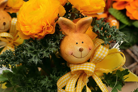 Osterhase, Deko, Dekoration, Ostern, schließen, Zahl, deco-hase, Frühling, dekohase, Osterdekoration, Frohe Ostern, Geschenk, Feier, Spielzeug, blühende Pflanze, Pflanze, Blume, Darstellung, Tierdarstellung, Natur, Nahansicht, keine Leute, Frische, Urlaub, Kunst und Handwerk, Religion, Glauben, Wachstum, Blütenkopf, 5K, CC0, gemeinfrei, lizenzfrei