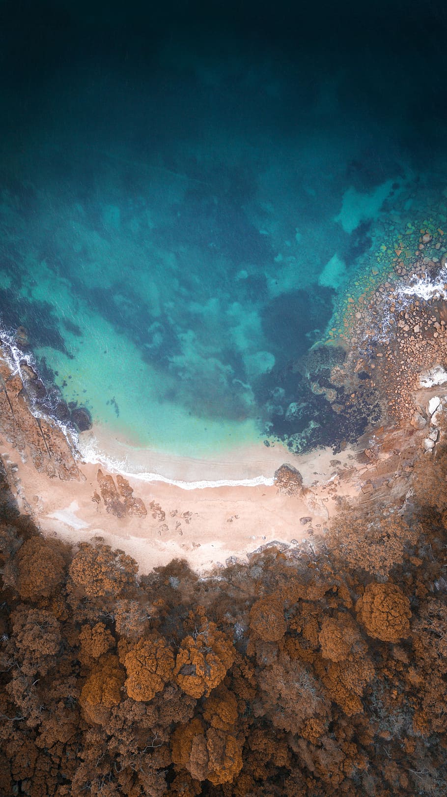 antenne, Foto, strand, udsigt, afgrund, Skov, vand, træ, kyst, sand, oppefra og ned, klar, blå, orange, luftfoto, drone visning, klippe, sydney, Dji, Australien, Busk, hav, ocean, skønhed i naturen, jord, natur, ro, ingen mennesker, dag, solid, rolig scene, scenics - natur, rock-objekt, udendørs, undervands-, idyllisk, varm kilde, magt i naturen, turkisfarvet, 4K