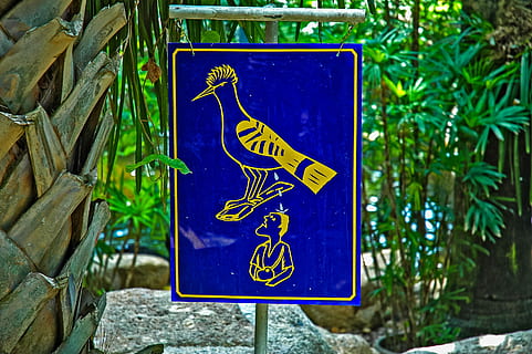Remarque, oiseau, avertir l'enfant, bleu, fauteuil roulant, capacités différentes, personne, en plein air, journée, la communication, signe, information, texte, panneau d'information, représentation, accès handicapés, représentation humaine, signe désactivé, écriture occidentale, fermer, la nature, se concentrer sur le premier plan, arbre, orientation, plante, 2K, CC0, domaine public, libre de droits