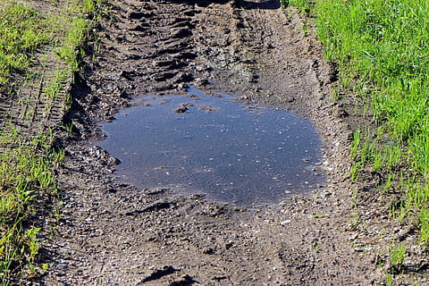 braun, Weg, Gräser, tagsüber, Schlammpool, Pfütze, Natur, Schlamm, Schwimmbad, regnet, Wasser, Wasserpfütze, Biotop, Tag, draußen, Feld, keine Leute, Straße, Land, Schmutz, Pflanze, Transport, Gras, grüne Farbe, Schotterstraße, Wachstum, High Angle View, Richtung, der Weg nach vorn, 4K, CC0, gemeinfrei, lizenzfrei
