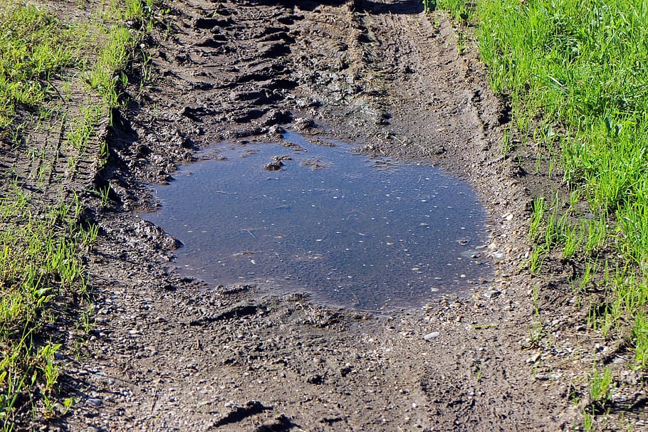 Marrone, sentiero, erbe, giorno, piscina di fango, pozzanghera, lontano, natura, fango, piscina, piovere, acqua, pozza d'acqua, biotopo, all'aperto, campo, nessuno, strada, terra, sporco, pianta, mezzi di trasporto, erba, colore verde, strada sterrata, crescita, vista dall'alto, direzione, la strada davanti, 4K