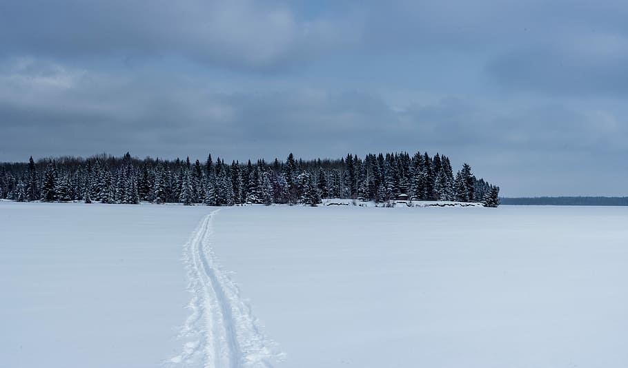 attraversando il lago trasversale, alberi verdi, traccia, la neve, sentiero, foresta, nube, inverno, temperatura fredda, cielo, nuvola - cielo, pianta, albero, scenics - natura, bellezza nella natura, la tranquillità, natura, scena tranquilla, scena non urbana, nessuno, Colore bianco, giorno, terra, copertura, campo, all'aperto, Pino, montagna innevata, albero di conifere, 8K