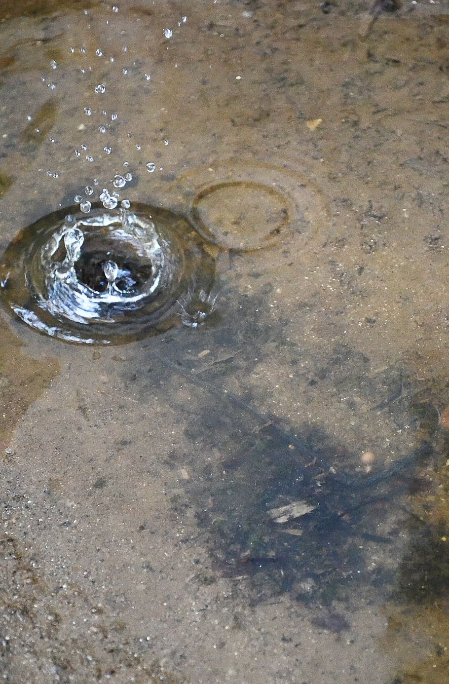 caiguda de pluja, gota d'aigua, tirar, degoteig, pluja, ondulació, mawanella, Sri Lanka, Ceilà, naturalesa, aigua, vista d’angle alt, cap gent, humit, dia, ondulat, marc complet, davant del mar, a l'aire lliure, bombolla, transparent, esquitxades, moviment, primer pla, bassal, reflexió, puresa, poc profund, 2K