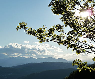 alpin, Baum, Blau, Wolke, Tag, Tageslicht, Europa, Grün, Italien, Landschaft, Blatt, Berg, Himmel, szenisch, Sommer-, Talblick, Pflanze, Schönheit in der Natur, Szenen - Natur, Wachstum, Ruhe, Natur, ruhige Szene, keine Leute, wolke - himmel, Sonnenlicht, Nicht-städtische Szene, Ast, Gebirge, draußen, Umgebung, Flachwinkelansicht, hell, 2K, CC0, gemeinfrei, lizenzfrei