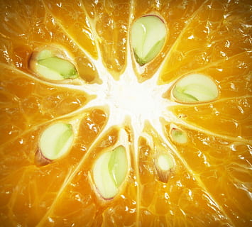 Orange, Obst, Scheibe, Weiß, Zitrusfrüchte, Orange, Obst, sauer, isoliert, Landwirtschaft, organisch, Makro, Vitamin, frisch, Gesundheit, Lebensmittel, saftig, essbar, Gesundheitswesen und Medizin, Gelb, Kreuzung, menschliches Auge, gesundes Essen, Essen und Trinken, Zitrusfrucht, Frische, Wohlbefinden, Vollbild, Nahansicht, Hintergründe, keine Leute, orange Farbe, Zitrone, drinnen, Stillleben, reif, saurer Geschmack, Vitamin C, 1080P, CC0, gemeinfrei, lizenzfrei
