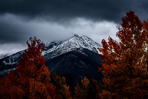 fjell, tung, skyer, grå, skyet, himmel, tre, fjellkanten, topp, snø, Sky, gjennom treet, høst, hvit, svart, rød, falle, storm-, storm, sky - himmel, naturskjønnhet - natur, vinter, skjønnhet i naturen, natur, anlegg, kaldtemperatur, land, fjellkjede, snødekte fjell, skog, miljø, landskap, fjelltopp, ingen folk, utendørs, furutre, nåletre, endring, furuskog, 5K, CC0, offentlig domene, opphavsrett gratis