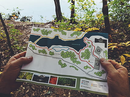 mapa, fotografia, biały, czarny, dłoń, nawigować, kartografia, szlak, ludzka ręka, jedna osoba, prawdziwi ludzie, trzymać, część ludzkiego ciała, drzewo, roślina, spędzania wolnego czasu, styl życia, osoba nie do poznania, Natura, dzień, perspektywa osobista, część ciała, palec, jedzenie i picie, na dworze, ludzki palec, 4K, CC0, domena publiczna, darmowe zdjęcia