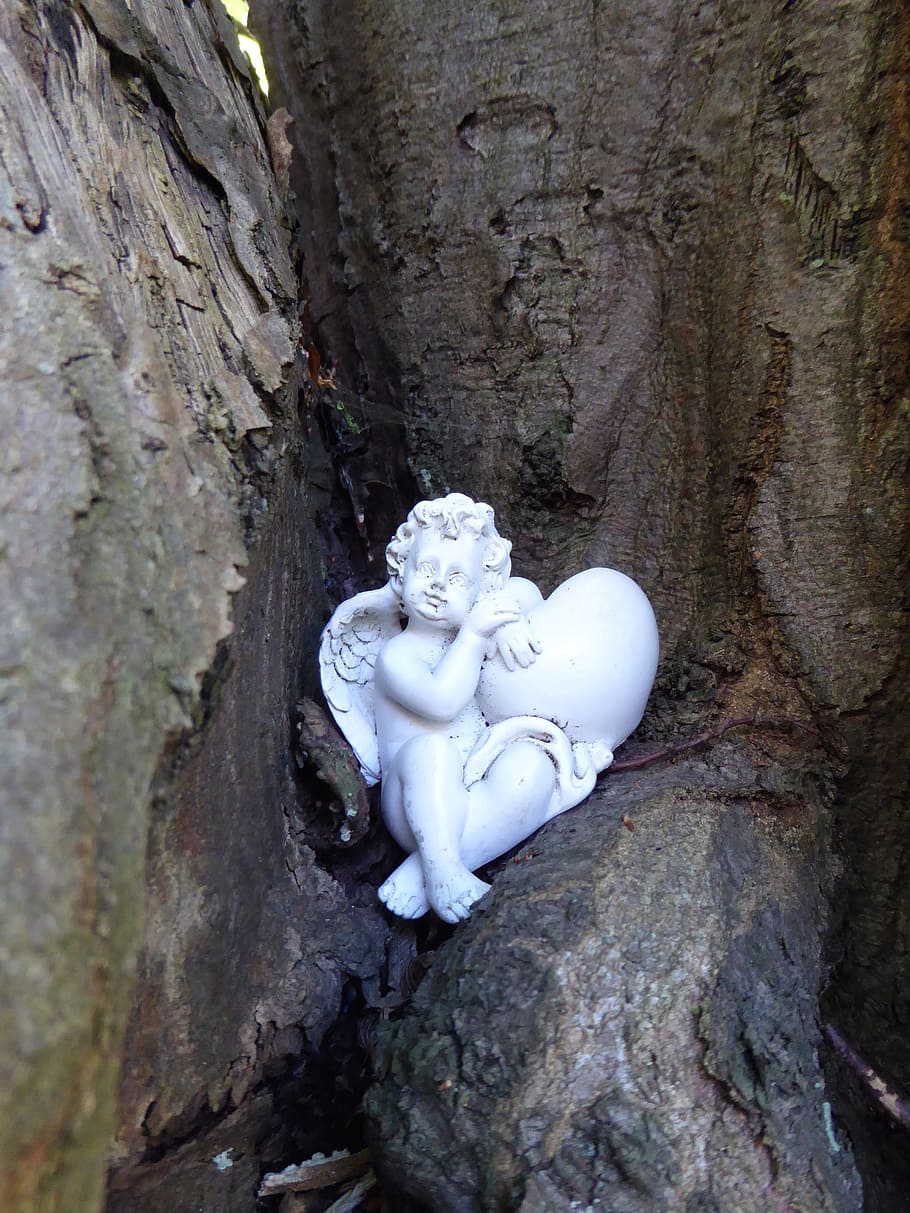 albero, angelo, armonia, fortuna, amore, recuperato, alleviare, rappresentazione umana, rappresentazione, arte e artigianato, scultura, nessuno, tronco d'albero, statua, somiglianza maschile, tronco, creatività, religione, giorno, spiritualità, credenza, pianta, avvicinamento, natura, mestiere, all'aperto, idolo, 4K