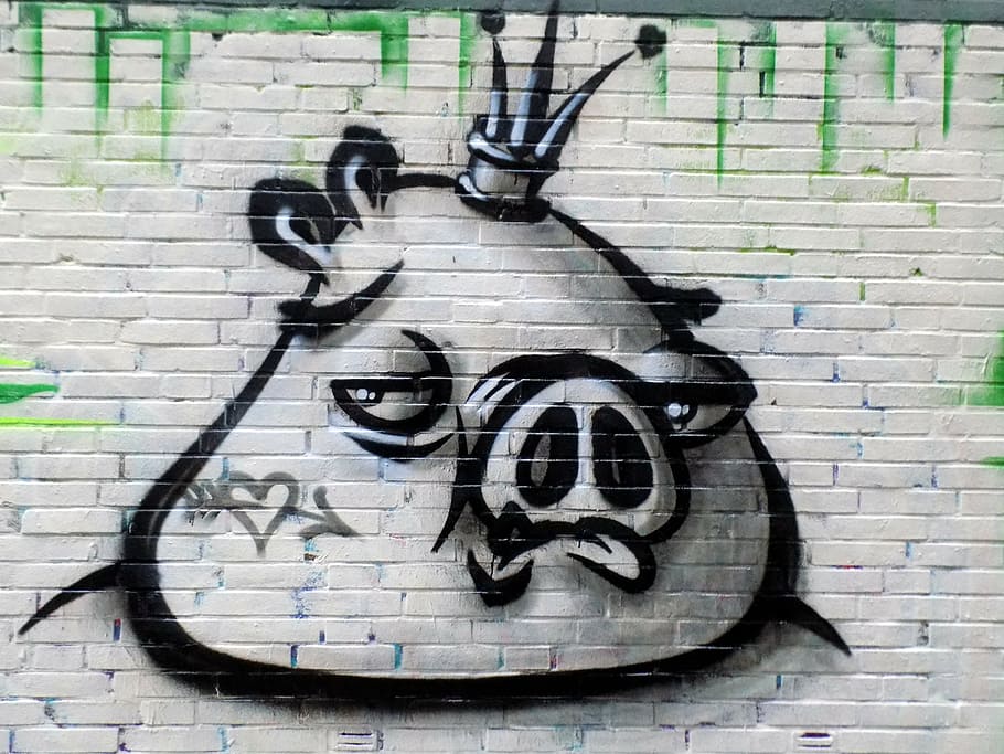 vred, fugle, chef, svin, væg, graffiti, kunst, sprøjte, vægmaleri, murbygningsfunktion, murstens væg, tekst, mursten, meddelelse, ingen mennesker, arkitektur, dag, bygget struktur, skilt, kreativitet, nummer, sort farve, Kunst og håndværk, vestlige script, tæt på, mønster, udendørs, besked, 5K