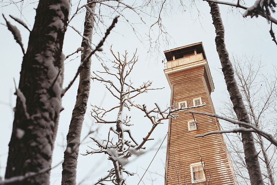 torre al bosc, cuc, vista d'ulls, fusta, veure, torre, durant el dia, hivern, neu, bosc, sobredimensionat, fred, tronc de l'arbre, finestres, torre d’observació, Estar atent, cacera, cabina, temporada d’hivern, temporada, arbre, vista d’angle baix, exterior de l'edifici, estructura construïda, arquitectura, tronc, branca, planta, arbre nu, naturalesa, cap gent, edifici, dia, cel, a l'aire lliure, alta - alta, ciutat, 2K