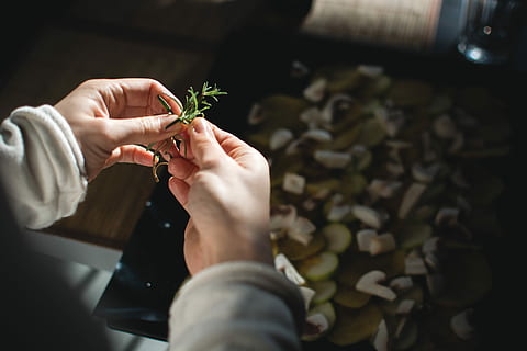 using rosemary, rosemary, cooking, hands, process, human Hand, people, women, one Person, close-up, working, adult, men, human body part, adults only, hand, holding, plant, indoors, real people, leaf, selective focus, nature, flower, plant part, freshness, preparation, human limb, finger, 5K