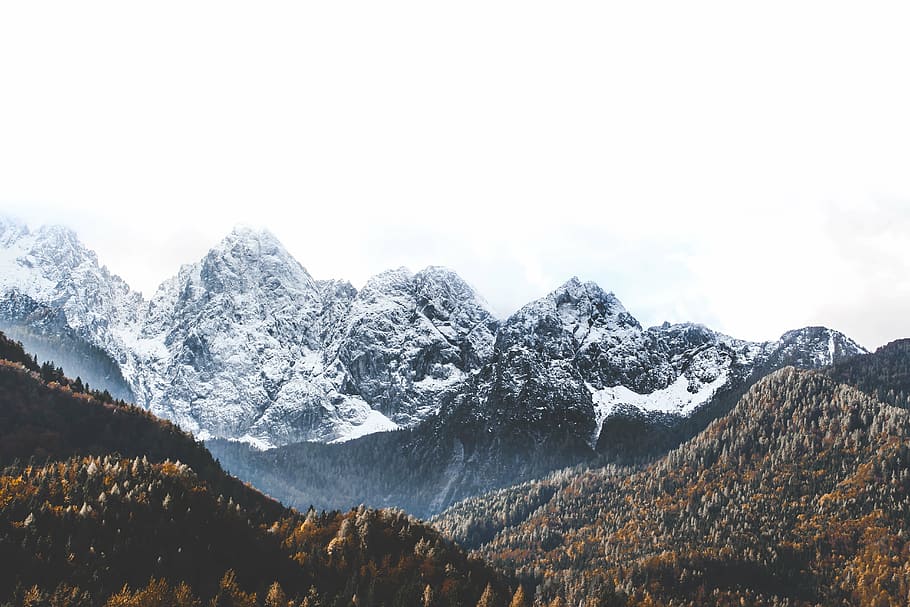 foto, marró, blanc, muntanyes, muntanya, paisatge, pic, cim, neu, gel, brisa, plantes, arbres, pins, vista, estètic, roques, boira, cel, núvols, temperatura de fred, hivern, naturalesa, Serra, escenics, cap gent, a l'aire lliure, tardor, escenics - natura, bellesa a la natura, escena tranquil·la, medi ambient, tranquil·litat, escena no urbana, dia, muntanya nevada, núvol - cel, remot, cim de muntanya, formació, 5K