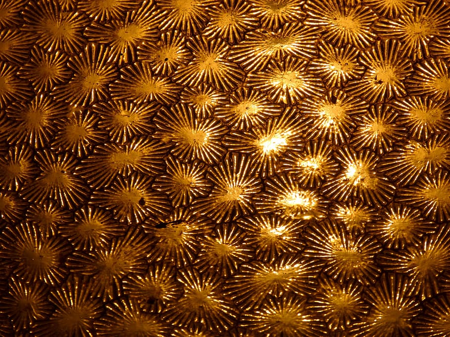 Glas, alt, Textur, durchscheinend, Licht, Hintergründe, keine Leute, Muster, Vollbild, Nahansicht, drinnen, texturiert, Design, gestalten, Stillleben, weiße Farbe, Wiederholung, Fülle, Metall, braun, Natur, Dekoration, große gruppe von gegenständen, Studioaufnahme, 4K