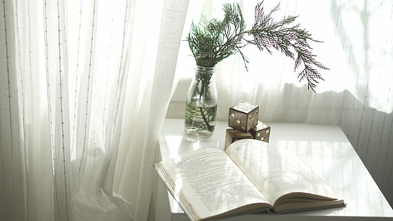 llibre, obert, superior, blanc, fusta, taula, peça central, decoracions de cubs, gerro, decoració, daus, publicació, cortina, finestra, llum solar, a l'interior, planta, naturalesa, dia, literatura, interior de casa, educació, cap gent, lectura, mobles, arbre, estils de vida, 5K, CC0, domini públic, lliure de regalies