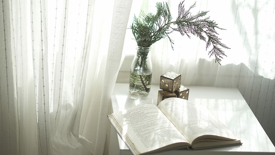 llibre, obert, superior, blanc, fusta, taula, peça central, decoracions de cubs, gerro, decoració, daus, publicació, cortina, finestra, llum solar, a l'interior, planta, naturalesa, dia, literatura, interior de casa, educació, cap gent, lectura, mobles, arbre, estils de vida, 5K