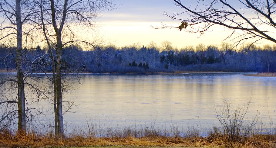 vinter, solnedgang, landskab, Skov, parkere, sollys, januar, naturskøn, michigan, træ, vand, ro, rolig scene, plante, scenics - natur, sø, bare træ, himmel, skønhed i naturen, ingen mennesker, ikke-urbane scene, natur, afspejling, kold temperatur, afdeling, udendørs, 4K