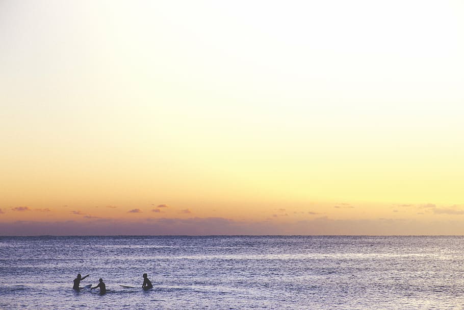 foto, tres, persona, nedar, mar, persones, posta de sol, vespre, cel, oceà, aigua, platja, horitzó, paisatge, naturalesa, gent, surfistes, surf, silueta, ombres, animals a la natura, bellesa a la natura, escenics, escena tranquil·la, ocell, fauna animal, horitzó sobre l’aigua, còpia espai, escenics - natura, homes, persones reals, esport, estils de vida, tranquil·litat, a l'aire lliure, 5K