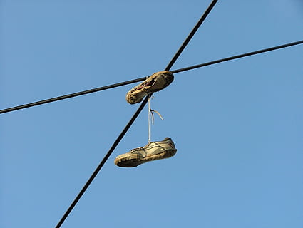 hjemmesko, kabel, himmel, skyfri himmel, blå, lav vinkel visning, ingen mennesker, kopiere plads, dyr, dyr i naturen, dyreliv, elektricitet, dyre temaer, reb, natur, et dyr, perching, strømkabel, dag, hvirveldyr, Strømforsyning, 2K, CC0, offentligt domæne, royaltyfrie