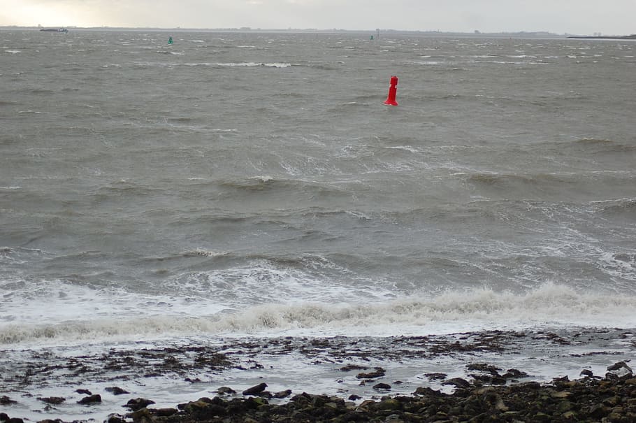 tempesta, onades, westerschelde, ferotge, aigua, boia, zelanda, accidentat, horitzó, dic, bany, rilland, estret, aigües, mar, platja, bellesa a la natura, onada, terra, escenics - natura, esport aquàtic, dia, naturalesa, esport, surf, moviment, escena no urbana, tranquil·litat, gent, a l'aire lliure, vista d’angle alt, escena tranquil·la, poder a la natura, 2K