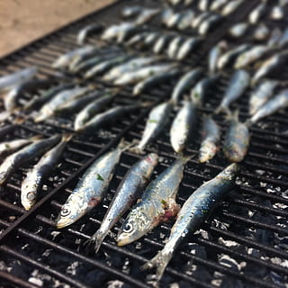 Ryba, mřížka, sardinka, kov, jídlo, jídlo a pití, detail, grilování, nikdo, plody moře, svěžest, gril, stálý život, den, grilovaný, velká skupina objektů, vysoký úhel pohledu, slunečního světla, zaměřit se na popředí, Zdravé stravování, venku, zvíře, stříbrné barvy, ocel, 1080P, CC0, veřejná doména, bez autorských práv